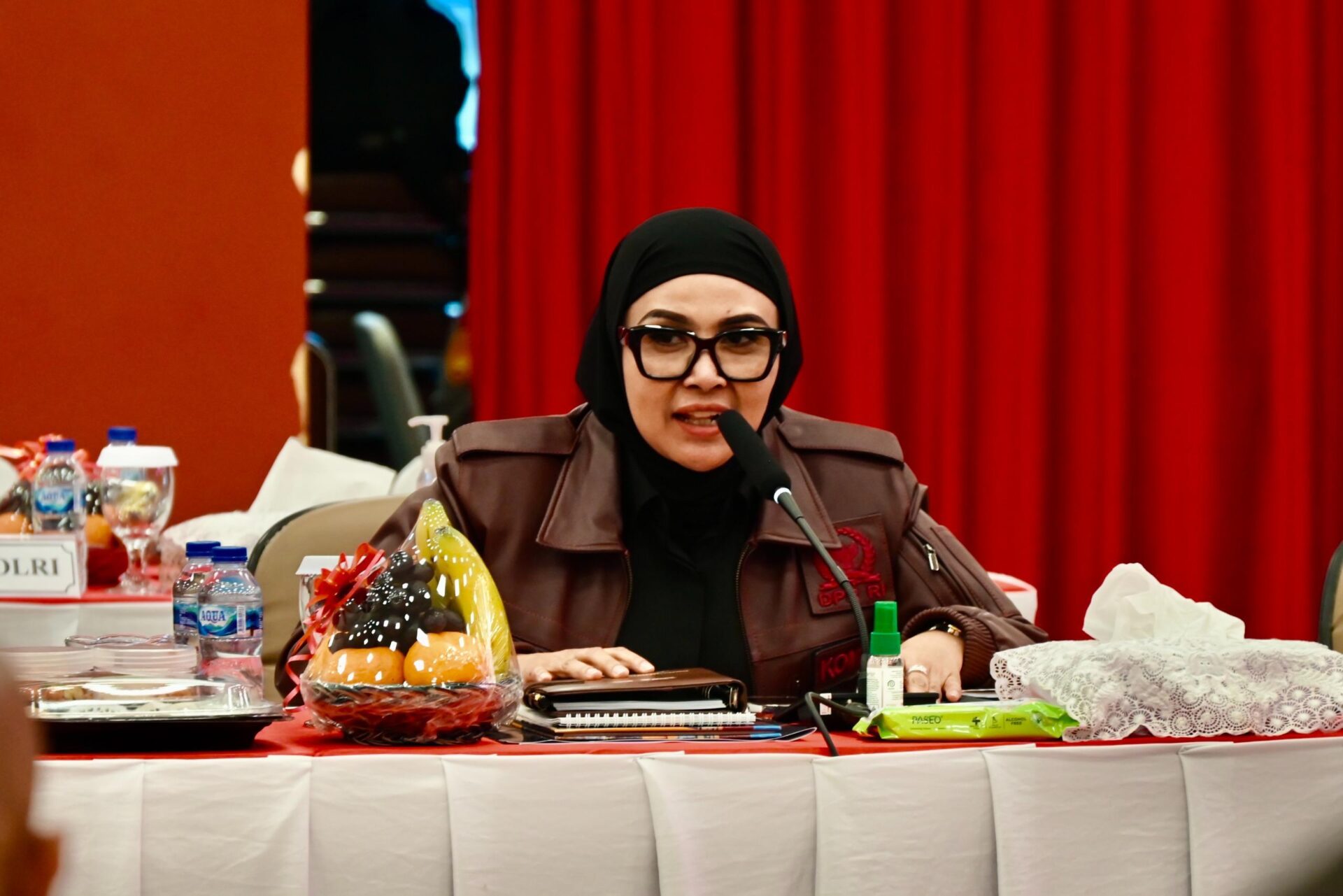 Profil Dewi Juliani: Perempuan Tangguh PDI-P dari Riau I dengan Visi Progresif
