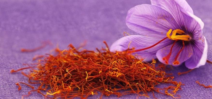 Inilah Manfaat Bunga Saffron untuk Wajah