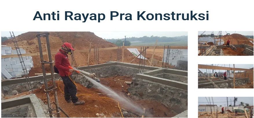Layanan Jasa Anti Rayap Semakin Diminati, Rayap Minggat dari Rumah