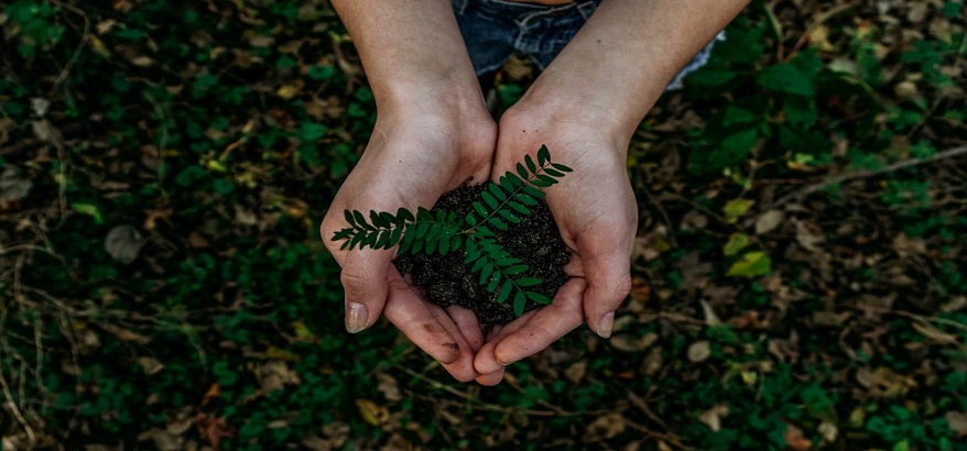 Program Klimaaktiv-eLearning: Meningkatkan Kesadaran dan Aksi untuk Keberlanjutan